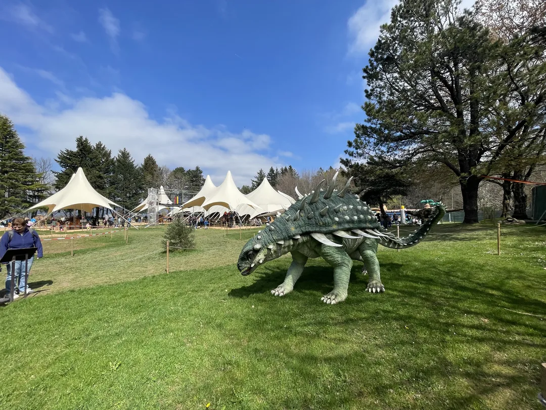 représentation d'un dinosaure Gastonia - Dinoworld Expo