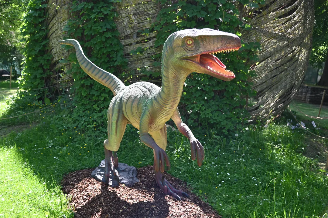 Représentation d'un Raptor - Dinoworld Expo